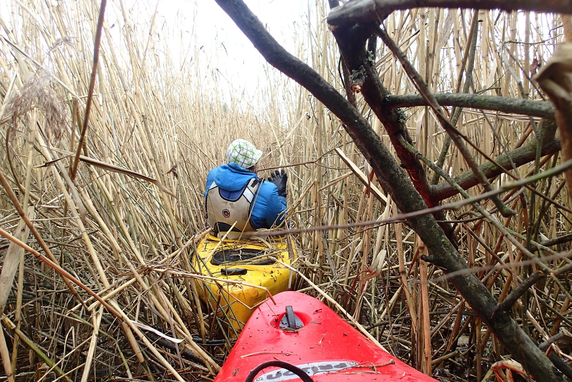Warta Kajaki Stradomka